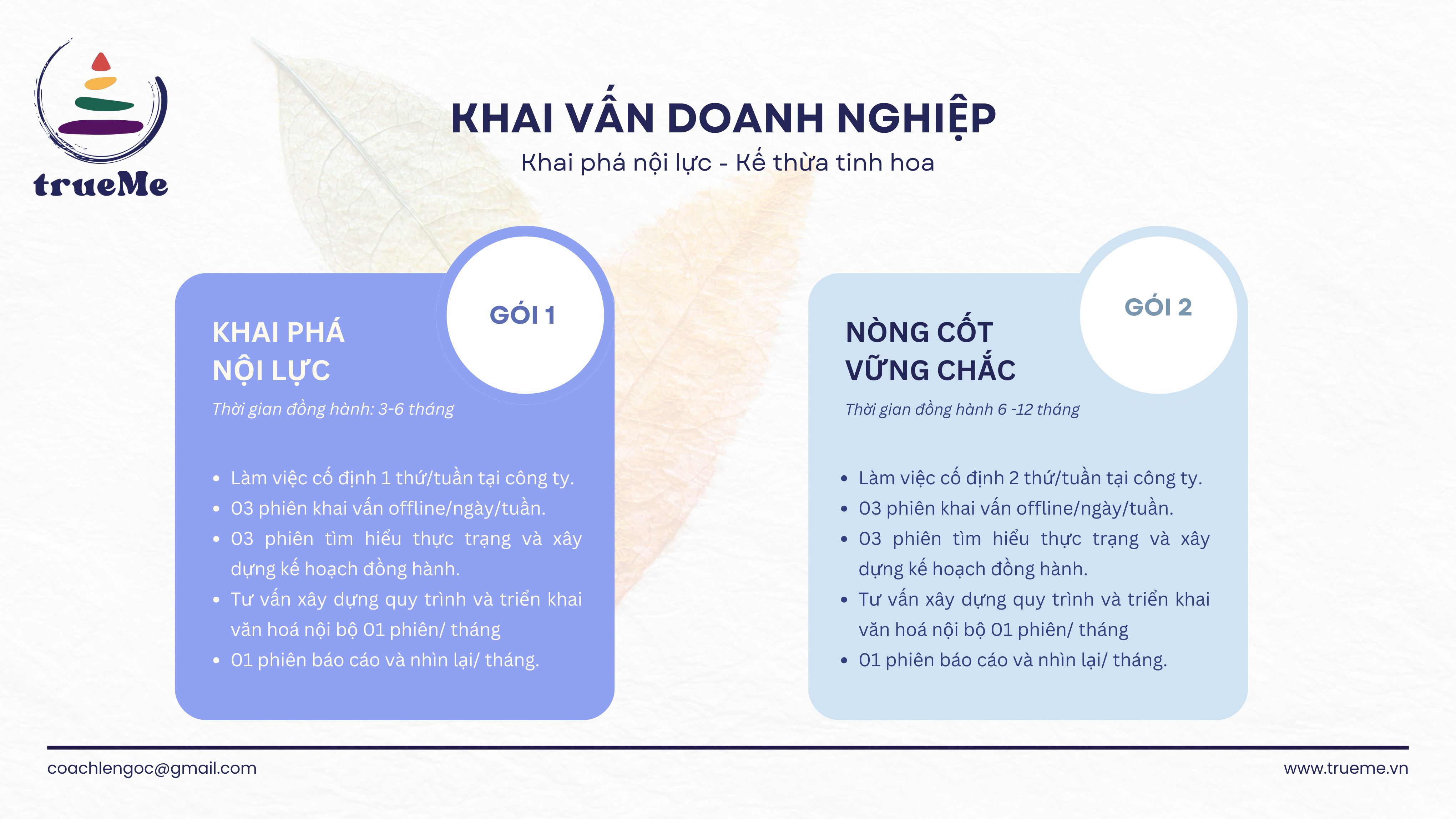 Gói Khai vấn doanh nghiệp tại Trueme