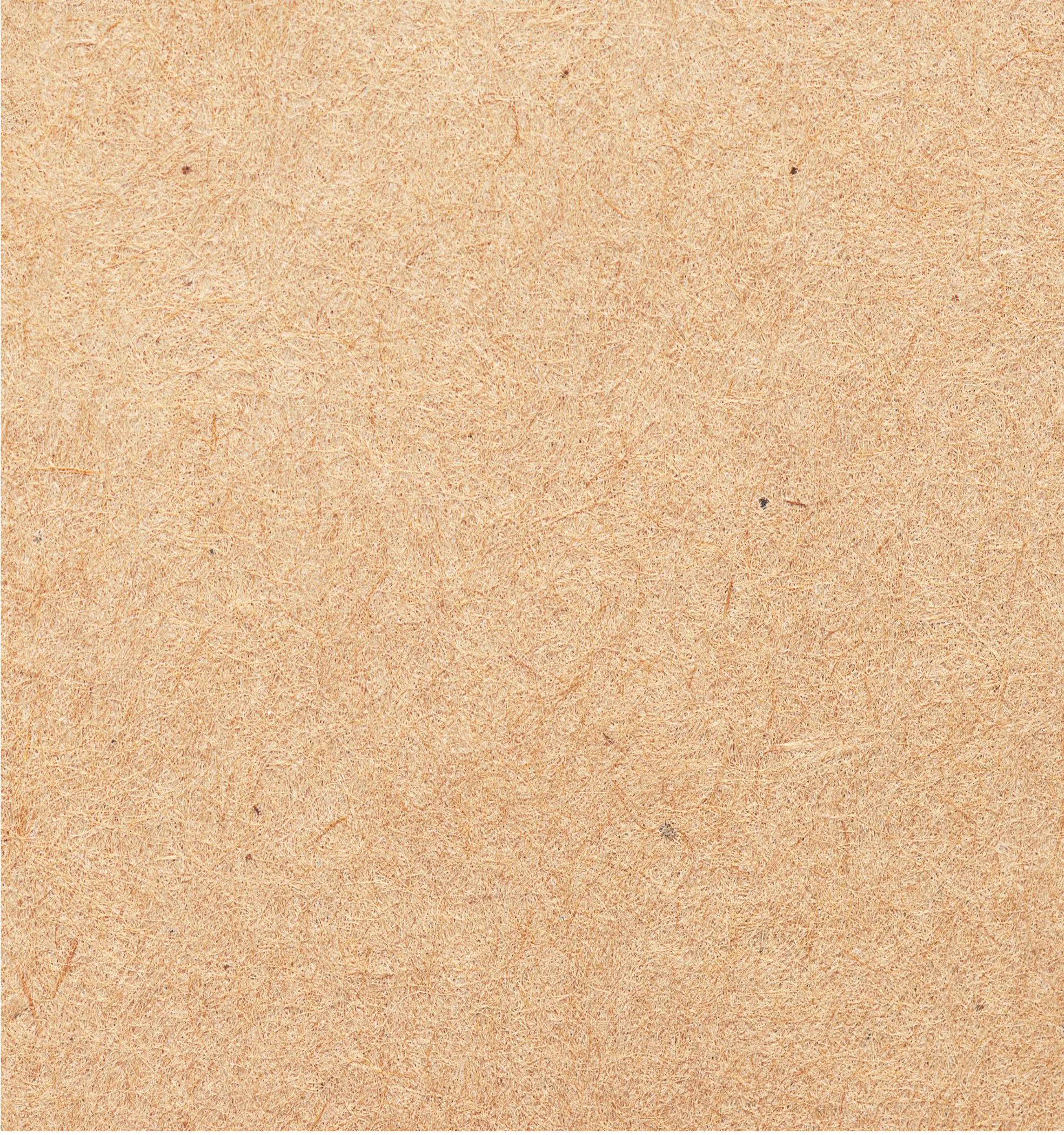 anh loi ngo 750 x 900 px 3